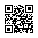 QR CODE 546