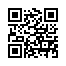 QR CODE 555