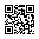 QR CODE 584