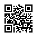QR CODE 593