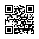 QR CODE 594