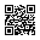QR CODE 595
