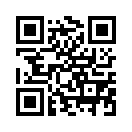 QR CODE 599