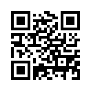 QR CODE 613