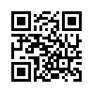 QR CODE 53
