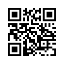 QR CODE 329