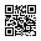 QR CODE 336