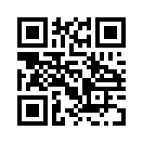 QR CODE 344