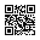 QR CODE 394