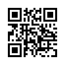 QR CODE 501