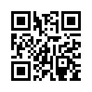 QR CODE 511
