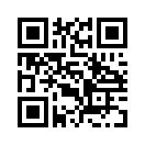 QR CODE 515