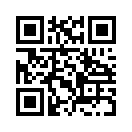QR CODE 515