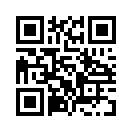 QR CODE 528