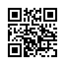 QR CODE 538