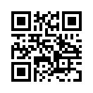 QR CODE 677