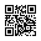 QR CODE 689