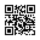 QR CODE 734