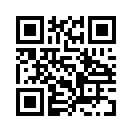 QR CODE 737