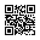 QR CODE 739
