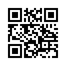 QR CODE 785