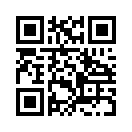 QR CODE 795
