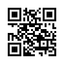 QR CODE 291