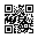QR CODE 1238