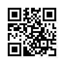 QR CODE 1337