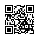 QR CODE 258