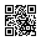 QR CODE 394