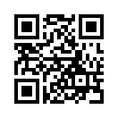 QR CODE 461