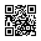 QR CODE 529