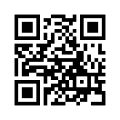 QR CODE 538