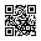 QR CODE 734
