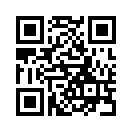 QR CODE 737