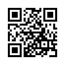 QR CODE 782