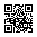 QR CODE 810