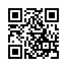 QR CODE 813