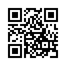 QR CODE 856