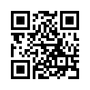 QR CODE 868
