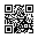QR CODE 990