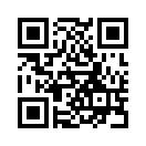 QR CODE 993