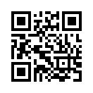 QR CODE 31