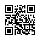 QR CODE 42