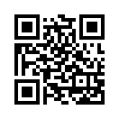 QR CODE 228