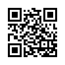 QR CODE 305