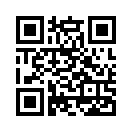 QR CODE 31