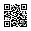 QR CODE 316