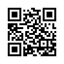 QR CODE 317